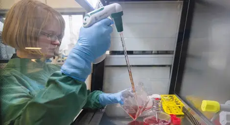 Генното инженерство побеждава рака на кръвта