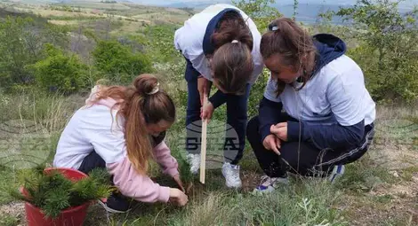 Снимка: БТА