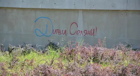 Графити майстор опитва да заличи простотиите в подлеза на Кръговото