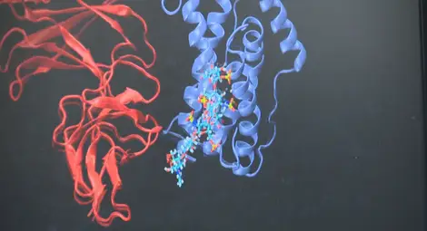 Колко опасен е нигерийският щам на коронавируса