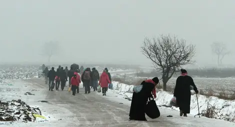 Първи опит за нахлуване на мигранти от Сърбия в Румъния Първи опит за нахлуване на мигранти от Сърбия в Румъния