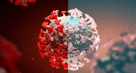 ВМА разкри различни симптоми на COVID при четвъртата вълна