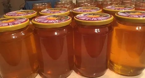 Унищожават 45 килограма мед заради некоректни етикети Унищожават 45 килограма мед заради некоректни етикети