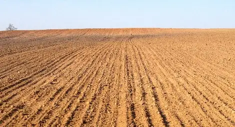 Тежки пазарлъци за ренти може да оставят хиляди декари незасети