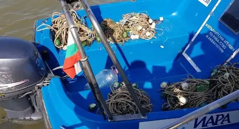 Бракониери преградили Дунав с винтери, мрежи и забранени от години лави и кърмаци Бракониери преградили Дунав с винтери, мрежи и забранени от години лави и кърмаци