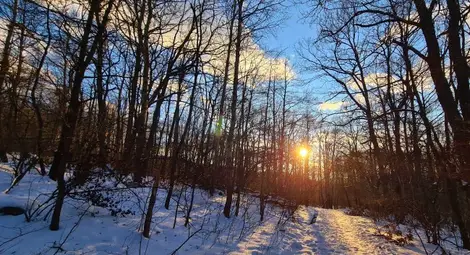 Слънчева събота, максималните температури - до 21&deg;