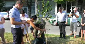 Стажанти администратори засадиха Дърво на успеха