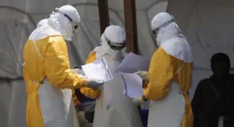 Птичи грип открит в Констанца на километри от България