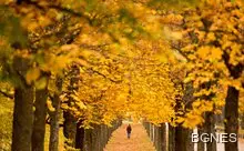 Времето остава предимно облачно