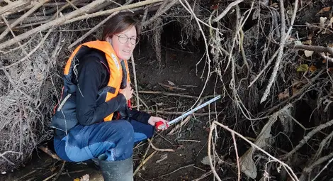 Доц. Йордан Кошев от Института по биоразнообразие-БАН:Завърналите се в Русенски Лом бобри са дошли от Румъния, вероятно от освободени животни в река Олт Доц. Йордан Кошев от Института по биоразнообразие-БАН:Завърналите се в Русенски Лом бобри са дошли от Румъния, вероятно от освободени животни в река Олт