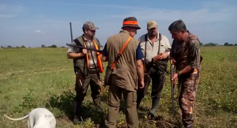 Ловците дадоха две седмици отсрочка за разрешението да излизат за глигани с кучета