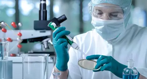 Учени: Подправка, употребявана масово в България, мачка COVID-19