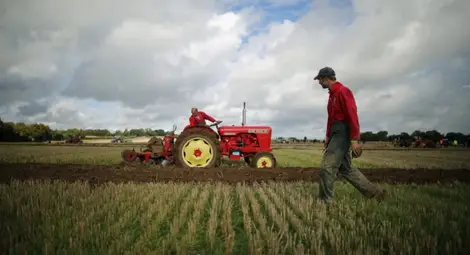 Земеделците поискаха 5% ДДС за български плодове и зеленчуци