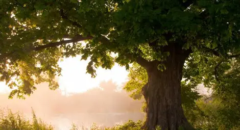 Слънчево и ясно ще е времето днес