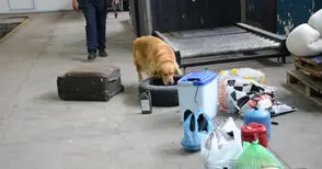 Рон и Роко провериха пред публика софийски опел за дрога и цигари