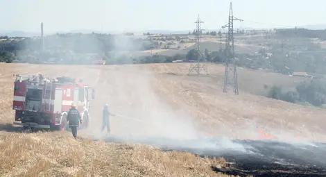 50 дка жито спасени от огън в Новград 50 дка жито спасени от огън в Новград