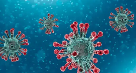 Откриха кои са най-силните антитела срещу коронавируса Откриха кои са най-силните антитела срещу коронавируса