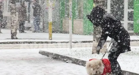 Враца побеля, иде снежна седмица
