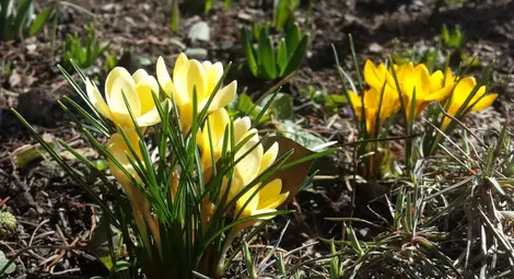 Очаква ни топло време, в края на седмицата до 26 градуса