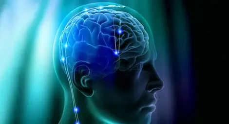 Нови мозъчни клетки изтриват спомените