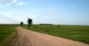 Два междуселски пътя останали съвсем без асфалт