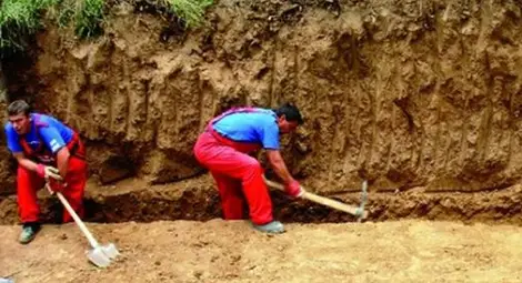 Еднодневните договори надхвърлиха 34 500