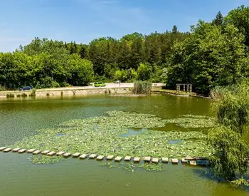 Венцислав Маринов: Идеята за зоокът в Лесопарка е моя, но ако друг иска концесията - ще помагам