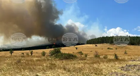 Снимка: БТА