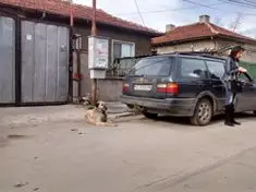 Изрод влачи куче с кола! Човекът, който спаси горкото животинче, го чака присъда