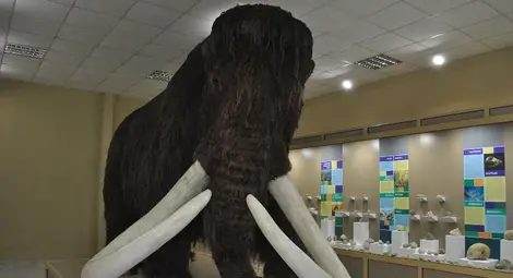 Пламен Стоилов:  Осъществихме 1250 културни събития и привлякохме многохилядна аудитория