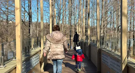 Кметът Пенчо Милков откри изградения пешеходен мост на езерото в Лесопарк „Липник“ Кметът Пенчо Милков откри изградения пешеходен мост на езерото в Лесопарк „Липник“