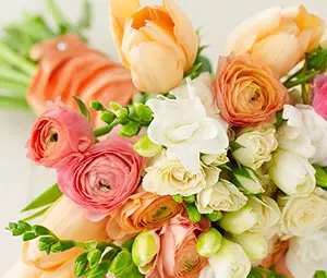 Цветята и динозаврите се оказаха родственици