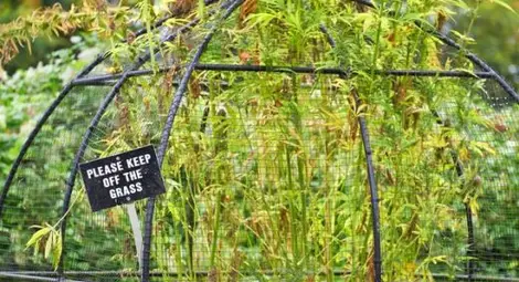 Градината на 100-те коварни убийци