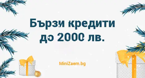 Мини Заем ви желае весели празници с 30% отстъпка от разходите за всеки усвоен кредит!