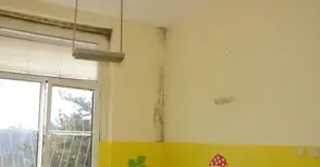 Власт и медици се събират заради мухъла в Детско отделение