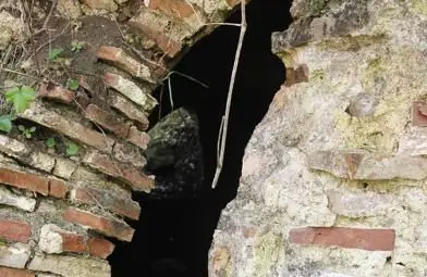 Иманяри от цялата страна луднаха за имането на Рустем Паша