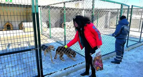 Приютът за животни в Русе - пример за грижата за безпризорни четириноги в България
