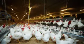 „Градус“ инвестира 3,5  милиона лева в Русенско