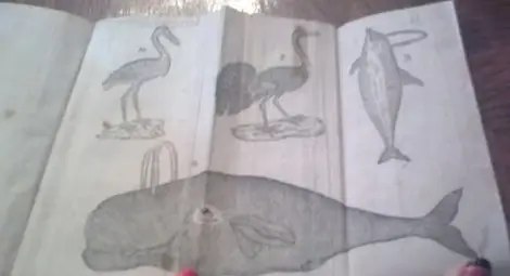 МВР: Открихме изчезналия &bdquo;Рибен буквар&rdquo;