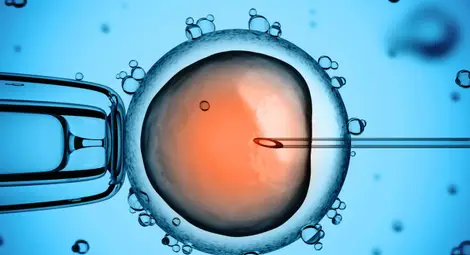 Държавата ще финансира по четири ин витро процедури