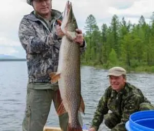 Путин се похвали с 21-килограмова щука /галерия/ Путин се похвали с 21-килограмова щука /галерия/