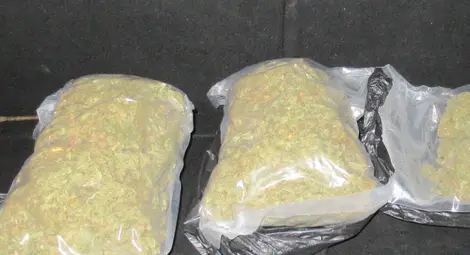 37-годишен русенец задържан с 3.5 килограма марихуана при спецоперация /галерия/