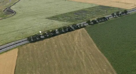 И арендатори, и собственици заплашени от тежък удар заради недомислица в новия закон за земята