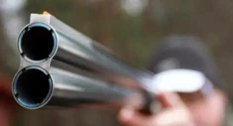 70-годишен застреля крадец в лозето си