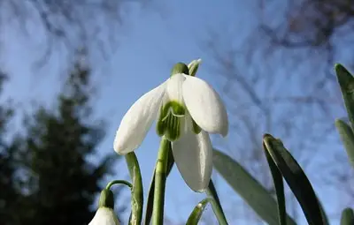 Утре ще е облачно с максимални температури до 13 градуса