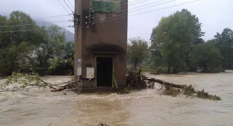Пострадали в Берковица: Безразборна сеч е причинила наводнението - снимки от поредната трагедия
