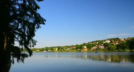 Русенският бизнес обединява сили за каузата на местен риболовен клуб