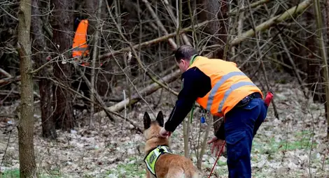 Китай клонира най-доброто си полицейско куче