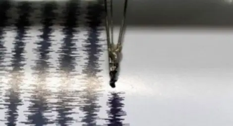 Силни земетресения разлюляха различни части на света