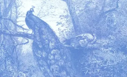 Свежа Дачева се връща в своя Русе с „Ще се видим пак“ Свежа Дачева се връща в своя Русе с „Ще се видим пак“